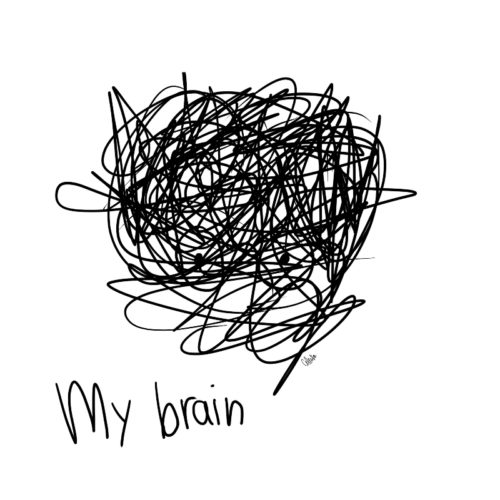 my brain